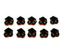 Cargar imagen en el visor de la galería, Foami Mini Paquete 10pz Graduación