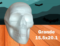 CRANEO DE UNICEL 15.5X20.1CM